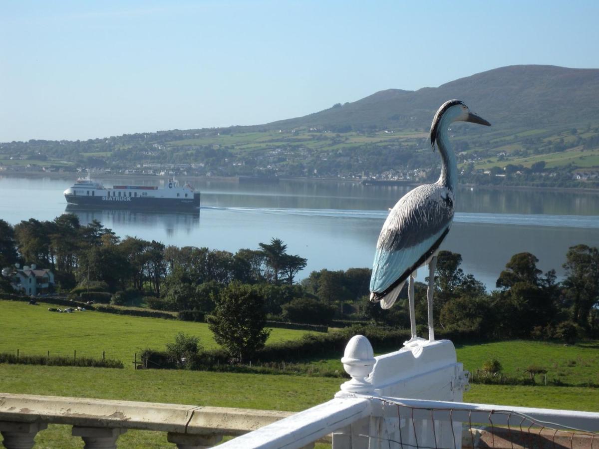 Seaview Guesthouse Rostrevor Zewnętrze zdjęcie
